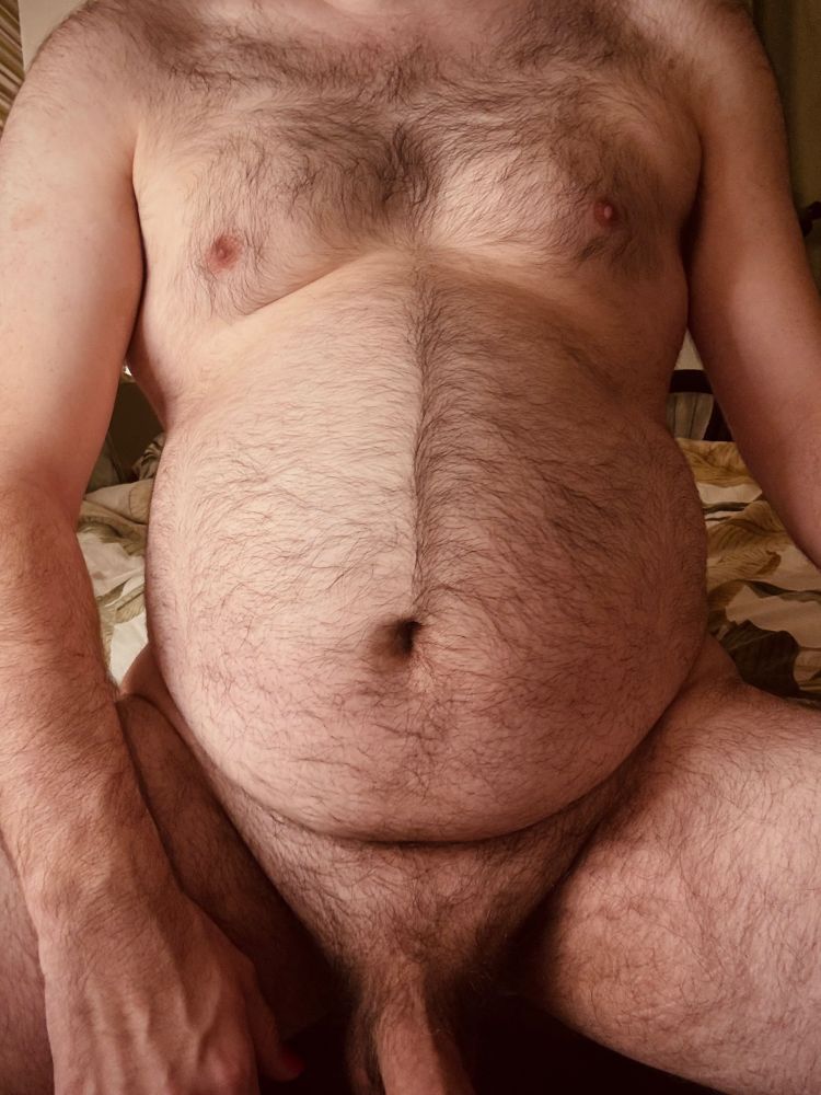 A close up of my furry body showing my chest, belly, and the root of my cock