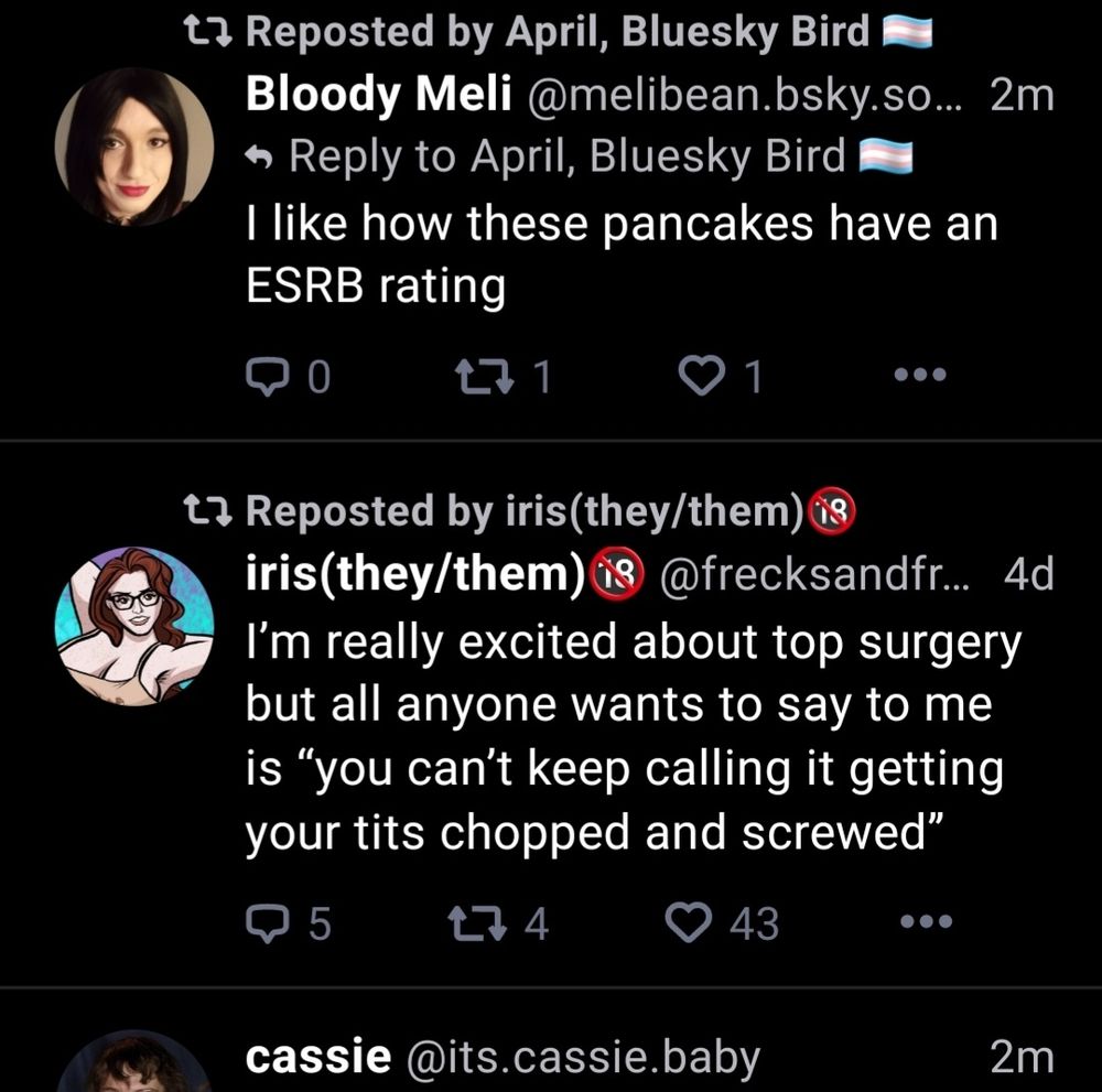 Image focus is a post from user "iris(they/them)" stating "I'm really excited about top surgery but all anyone wants to say to me is "you can't keep calling it getting your tits chopped and screwed""

Post was reskeeted by user, and timestamps from other posts visible in image indicate it was reskeeted 2 minutes ago