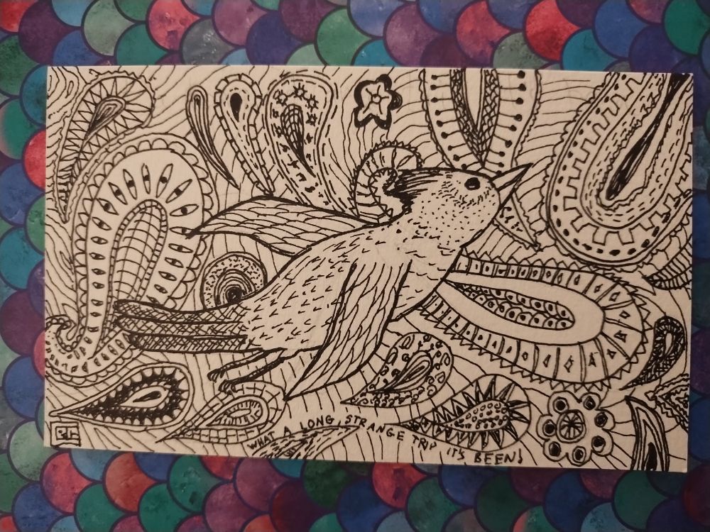 Pen and ink drawing of a bird over a background of a Paisley pattern.