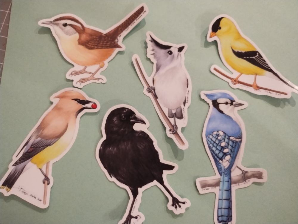 A photo of 6 bird stickers.