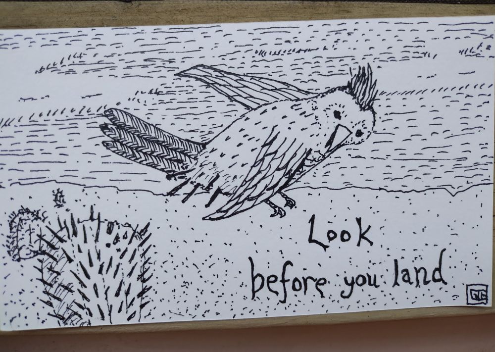 Pen and ink drawing of a bird flying away from a thorny cactus with some quills stuck in the bird's bottom.  Background is dessert like with a few other cacti and a sky with a few clouds. Text: Look before you land