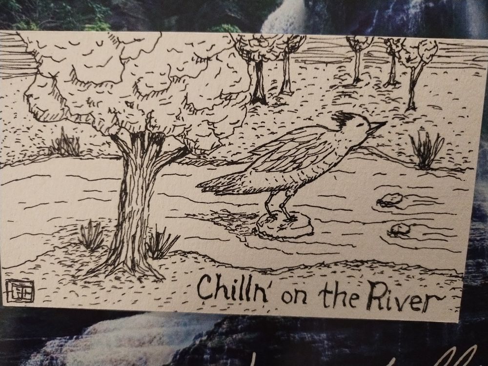 Pen and ink drawing of a bird standing on a rock in the middle of a river.  Text: Chillin' on the River.