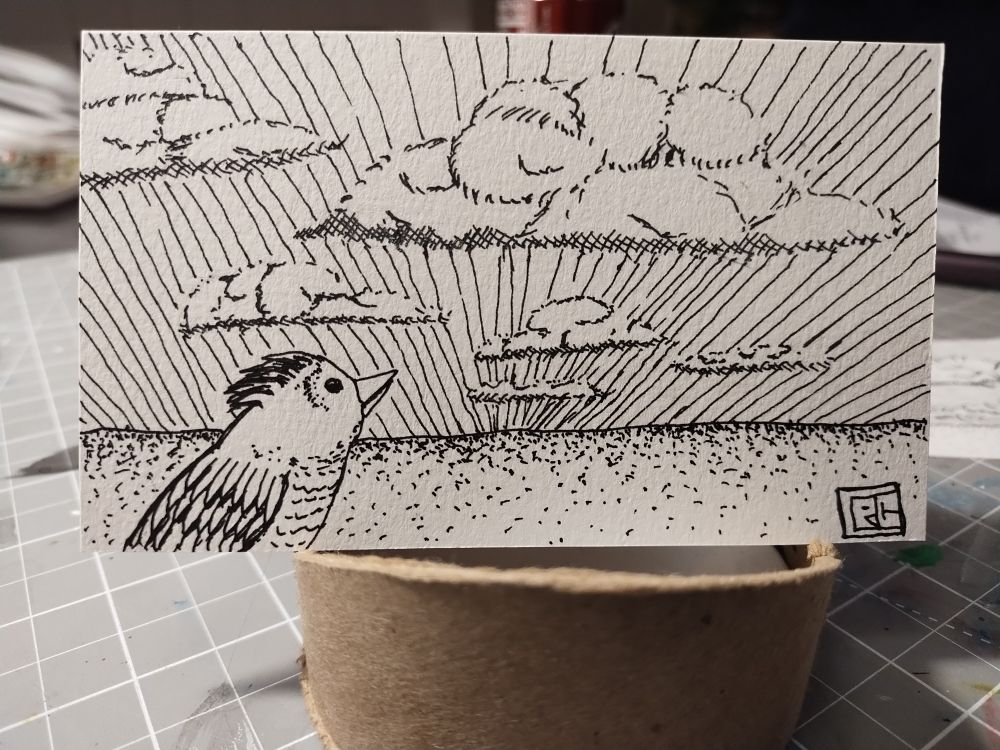 Pen and ink drawing of a bird looking over a plain with clouds floating overhead and off in the distance.