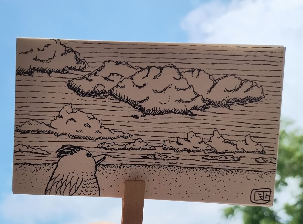 Pen and ink drawing of a bird looking at clouds out over the horizon 