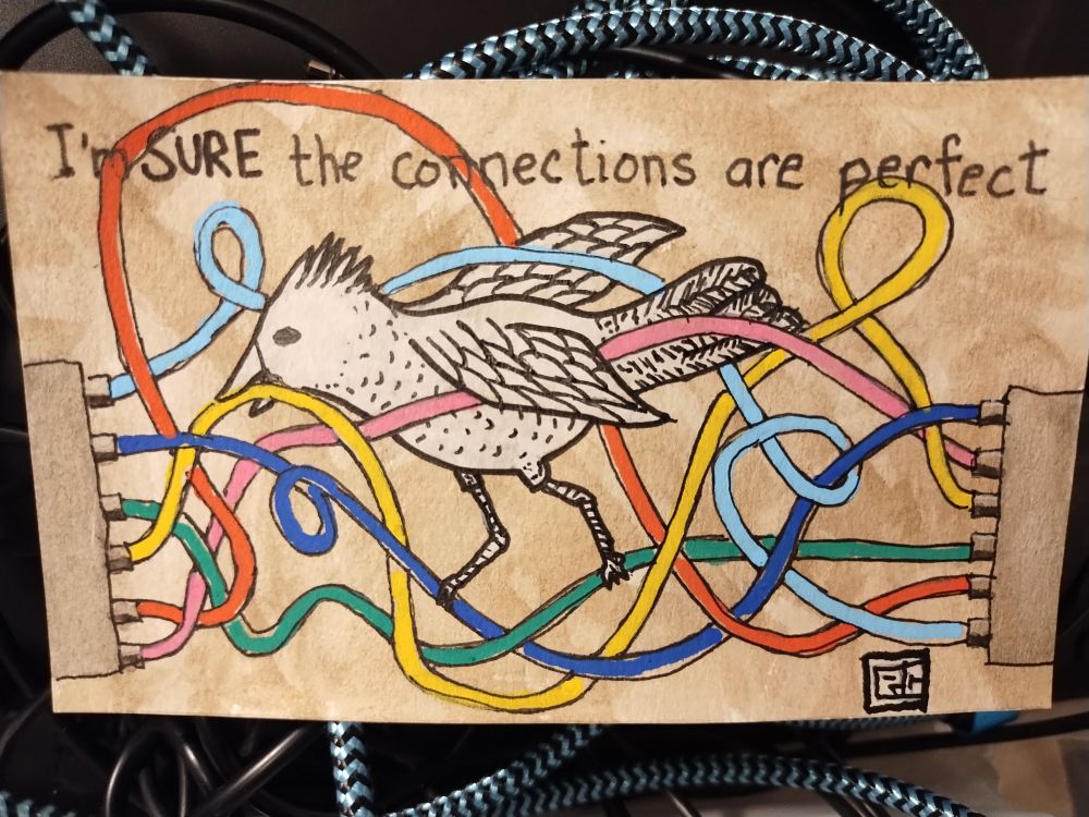 Pen and ink drawing of a bird in the middle of a mess of wires with connections from on side to the other.  Bird is black and white while the wires are brightly colored. Text: I'm SURE the connections are perfect