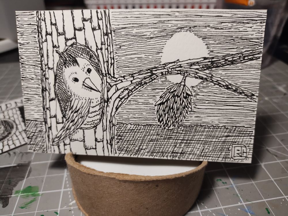 Pen and ink drawing of a bird in a tree looking out at a pinecone. The sky is dark with a full moon.
