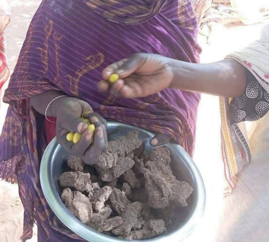 Woman carrying bowl of animal feed. 