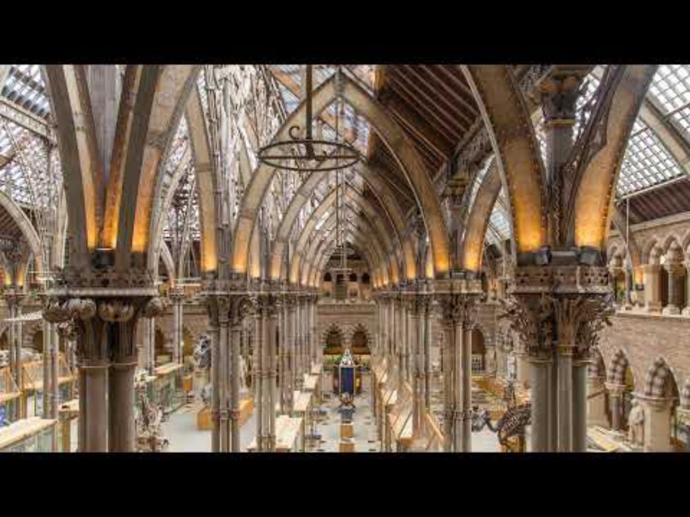 The Jurassic Highway