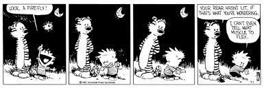 Calvin & Hobbes trying to watch fireflies