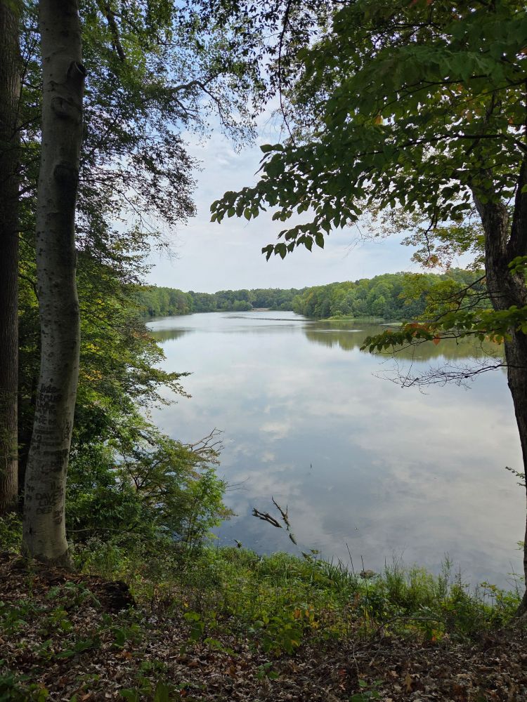 Lake with reflected clouds, trees in the front and distance