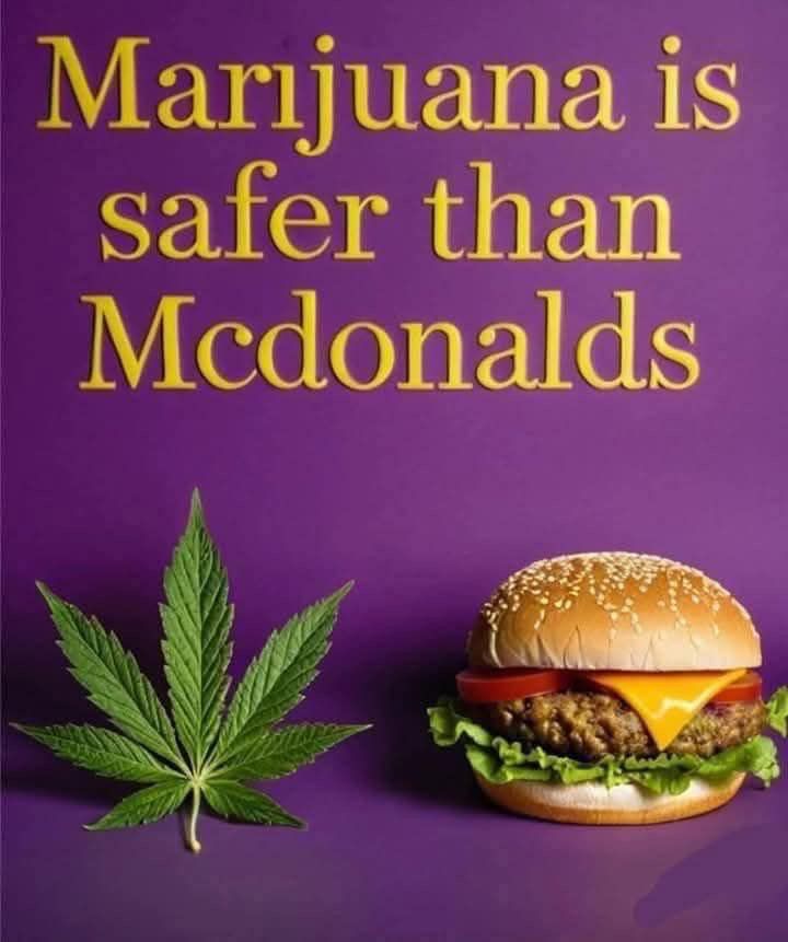 Marihuana is safer then McDonalds 