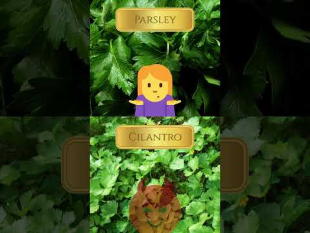 Anti-facts about Herbs!