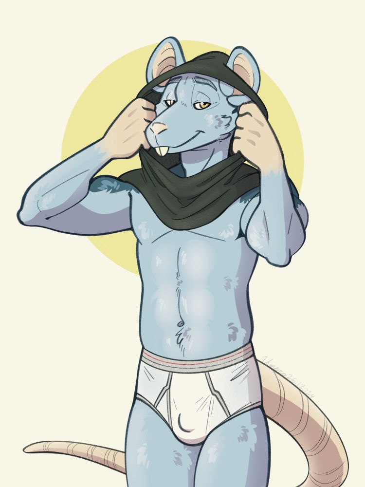 Amorey, a blue grey rat with dark-blue grey markings around his shoulders and golden colored eyes, is standing and looking at the viewer. He has a flirtatious expression towards the viewer. He’s wearing a dark grey hood, his arms are raised and his palms are holding around the rim of the fabric. He’s also wearing a pair of white briefs with grey lining and waistband, the waistband includes the classic red and blue stripes.