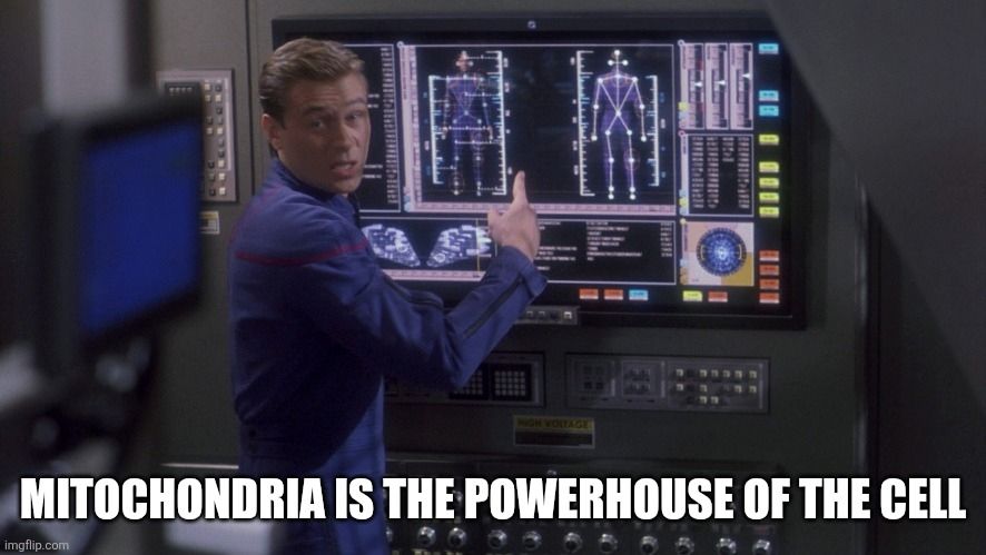 Trip Tucker from Star Trek: Enterprise points at a large monitor displaying schematics overlaid on drawings of the human body while looking at the camera over his shoulder. Impact font meme text at the bottom reads "Mitochondria is the powerhouse of the cell"