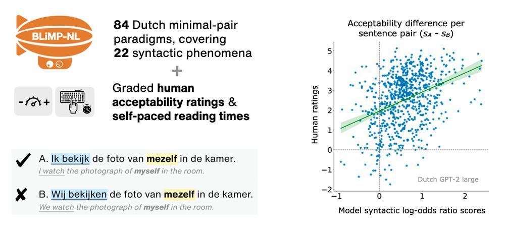 The BLiMP-NL dataset consists of 84 Dutch minimal pair paradigms covering 22 syntactic phenomena, and comes with graded human acceptability ratings & self-paced reading times. 

An example minimal pair:
A. Ik bekijk de foto van mezelf in de kamer (I watch the photograph of myself in the room; grammatical)
B. Wij bekijken de foto van mezelf in de kamer (We watch the photograph of myself in the room; ungrammatical)

Differences in human acceptability ratings between sentences correlate with differences in model syntactic log-odds ratio scores.