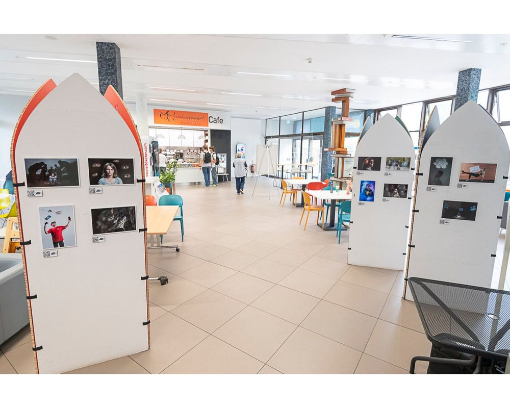 A display of photos on white, vertical display boards in the foyer of a large library.