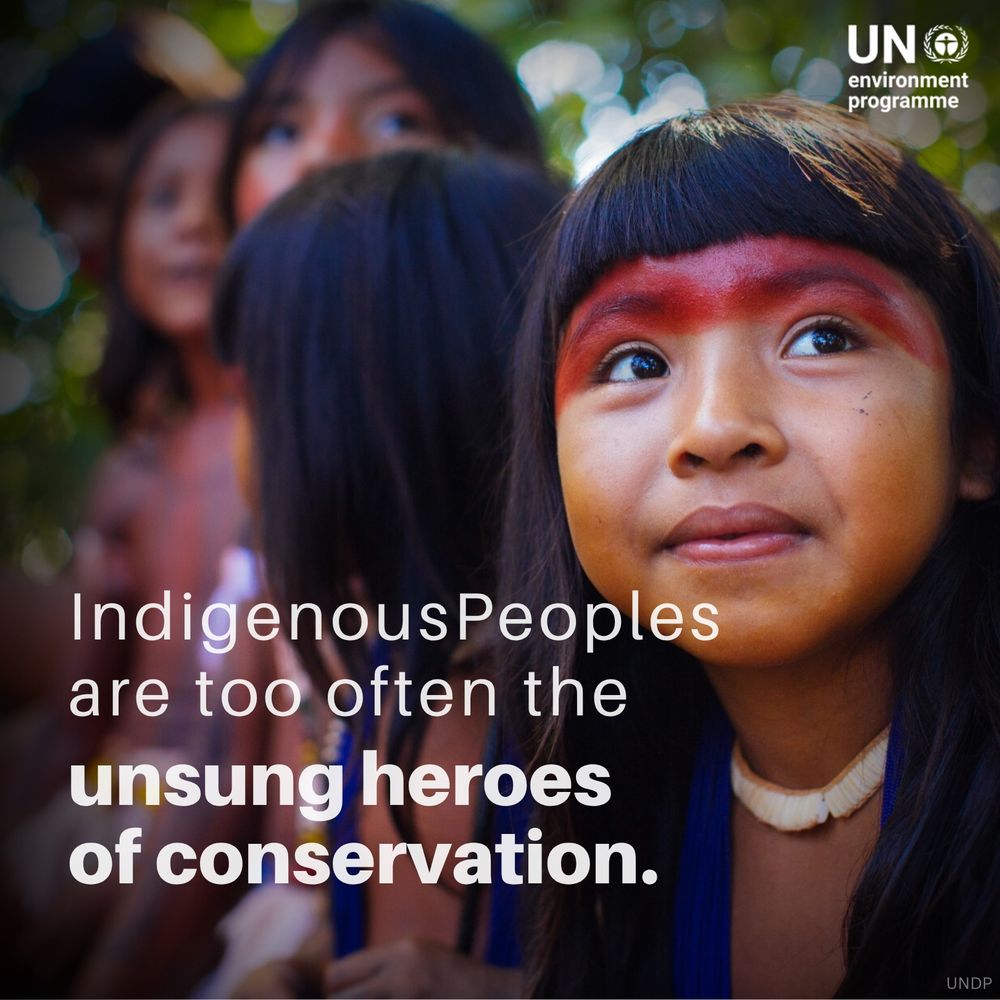 A young Indigenous girl with long dark hair and red face paint looks slightly upward, wearing a beaded necklace, with other community members blurred in the background. The UN Environment Programme logo is in the top right, and white text reads “Indigenous Peoples are too often the unsung heroes of conservation.”