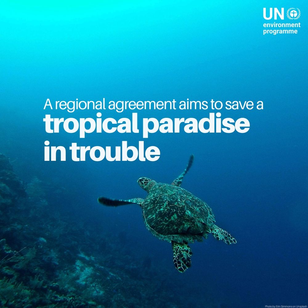 A sea turtle swims through deep blue ocean waters with a coral reef faintly visible below. The text reads “A regional agreement aims to save a tropical paradise in trouble,” and the UNEP logo is in the top right corner.