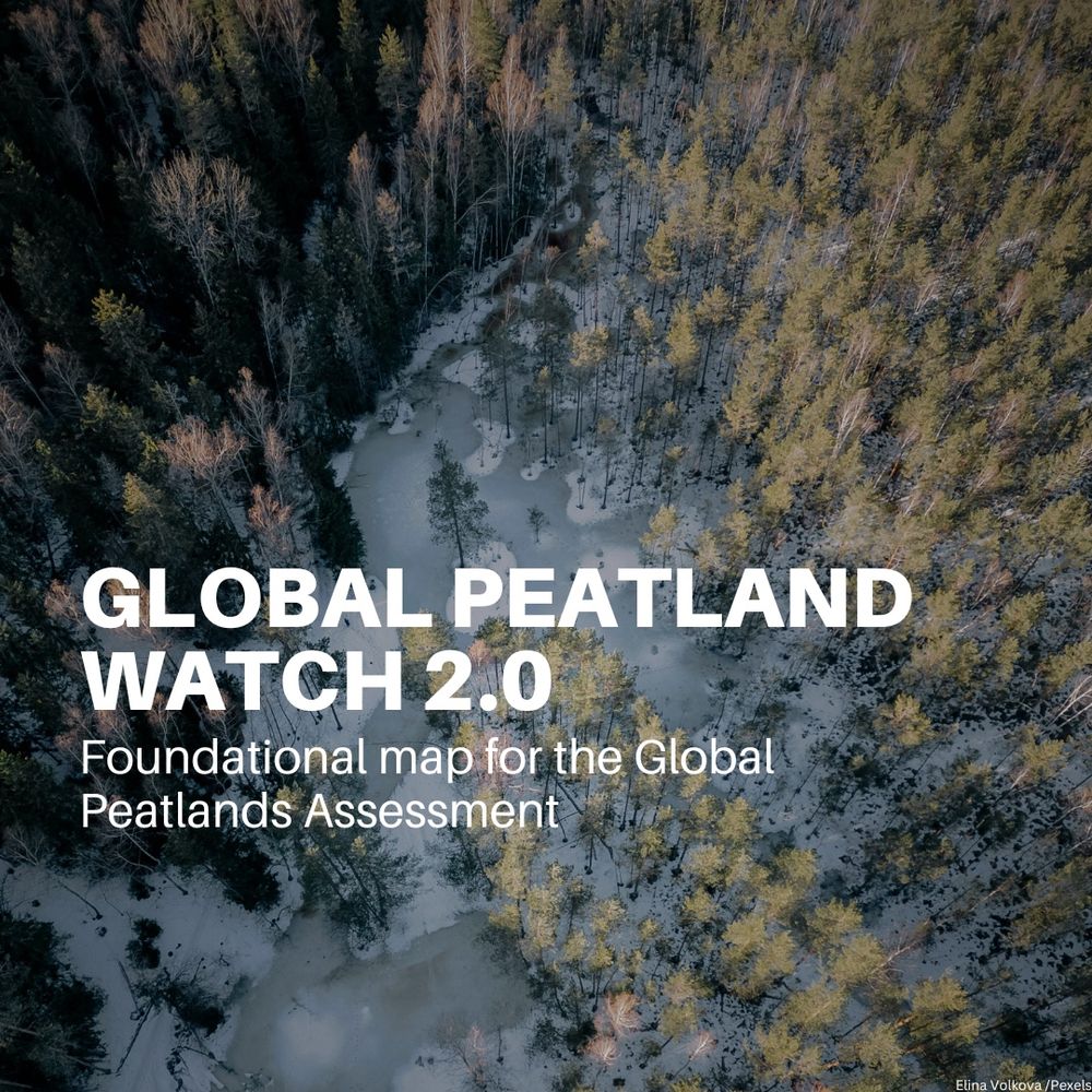 The image shows an aerial view of a snow-covered peatland with clusters of trees, blending dark green and golden tones. The text reads: “GLOBAL PEATLAND WATCH 2.0 – Foundational map for the Global Peatlands Assessment.” 