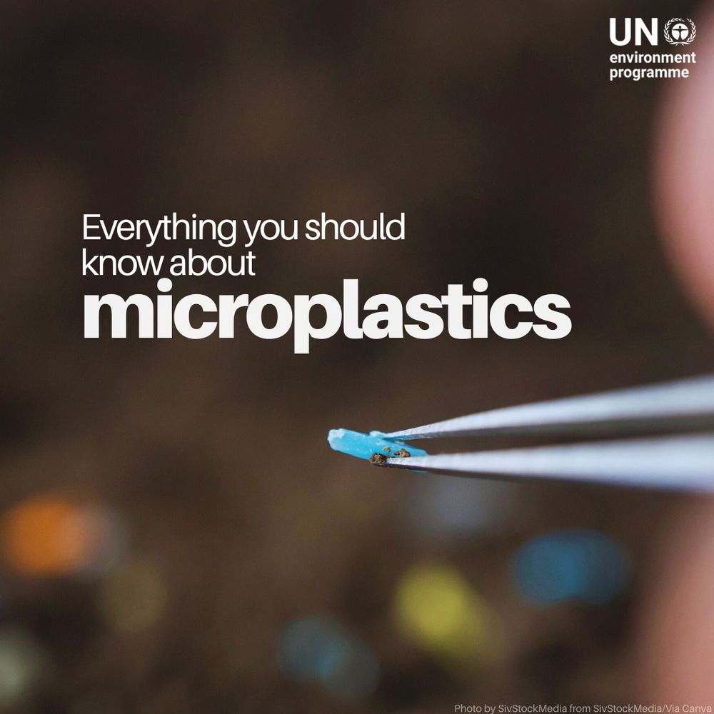 A close-up image shows tweezers holding a small, blue piece of microplastic against a blurred brown background. Text on the image reads: “Everything you should know about microplastics.” The UN Environment Programme logo appears in the top right corner.