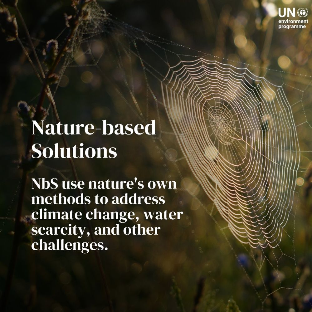 A delicate spider web glistens in the morning light with dewdrops, set against a blurred background of plants and sunlight. Text on the image explains that nature-based solutions (NbS) use nature's own methods to address climate change, water scarcity, and other challenges. UN Environment Programme logo is in the top right corner.