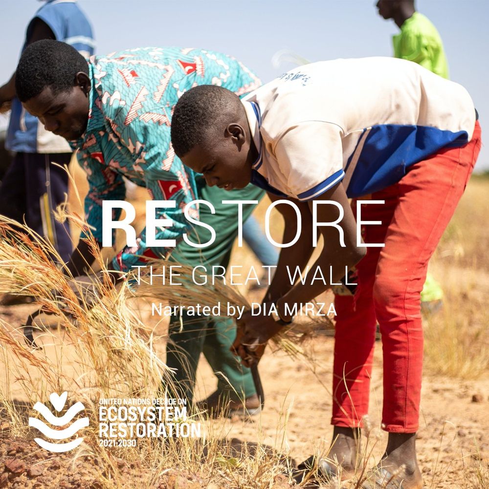 Two young men are planting grass in a dry field. The text on the image reads: “RESTORE THE GREAT WALL – Narrated by DIA MIRZA.” The logo of the United Nations Decade on Ecosystem Restoration 2021–2030 appears in the bottom left corner.