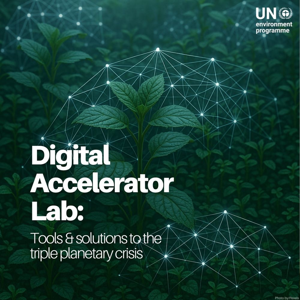 This UNEP visual highlights the Digital Accelerator Lab, presenting it as a hub for “tools & solutions to the triple planetary crisis.” The image features young green plants overlaid with a glowing digital network.