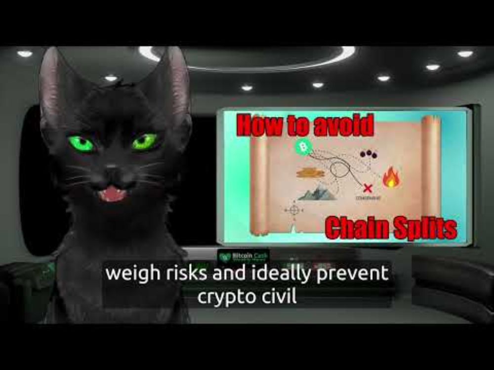 BitcoinCash Weekly News June 3rd 2025 by the BCHF