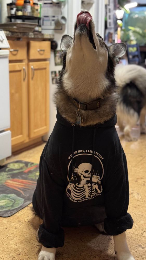 Dog wearing a hoodie with an image of a skeleton drinking coffee