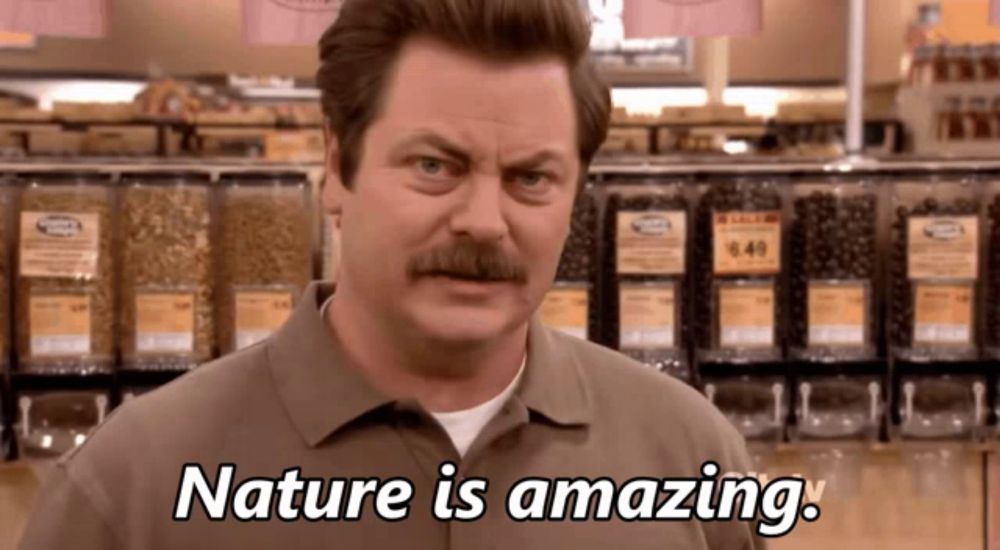 a man with a mustache says nature is amazing in a store