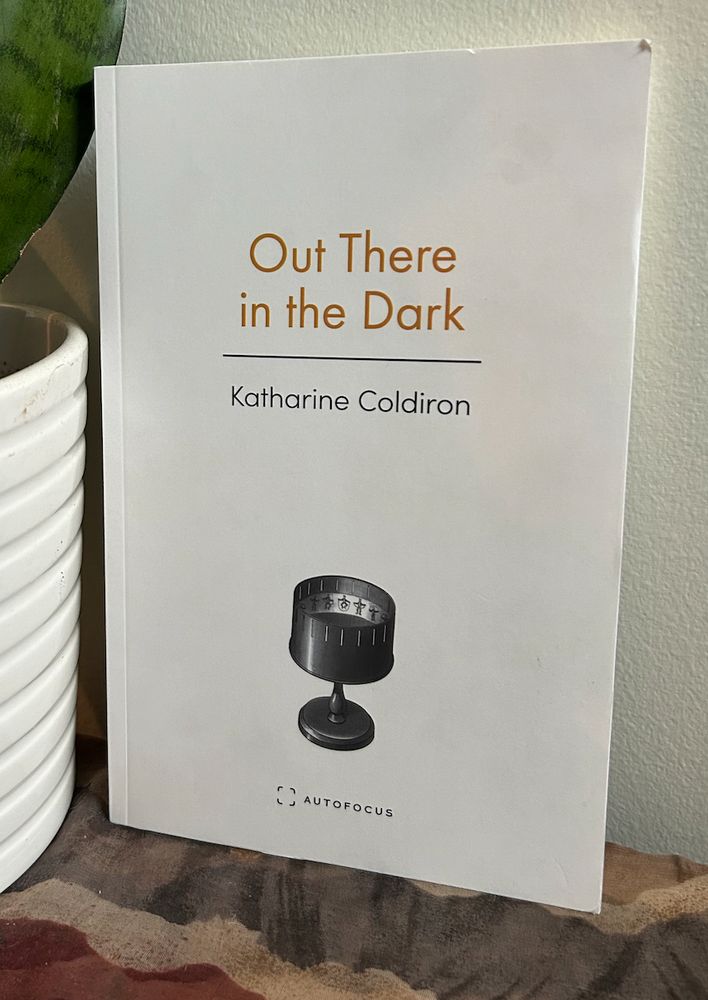 Photo of book Out There in the Dark by Katharine Coldiron
