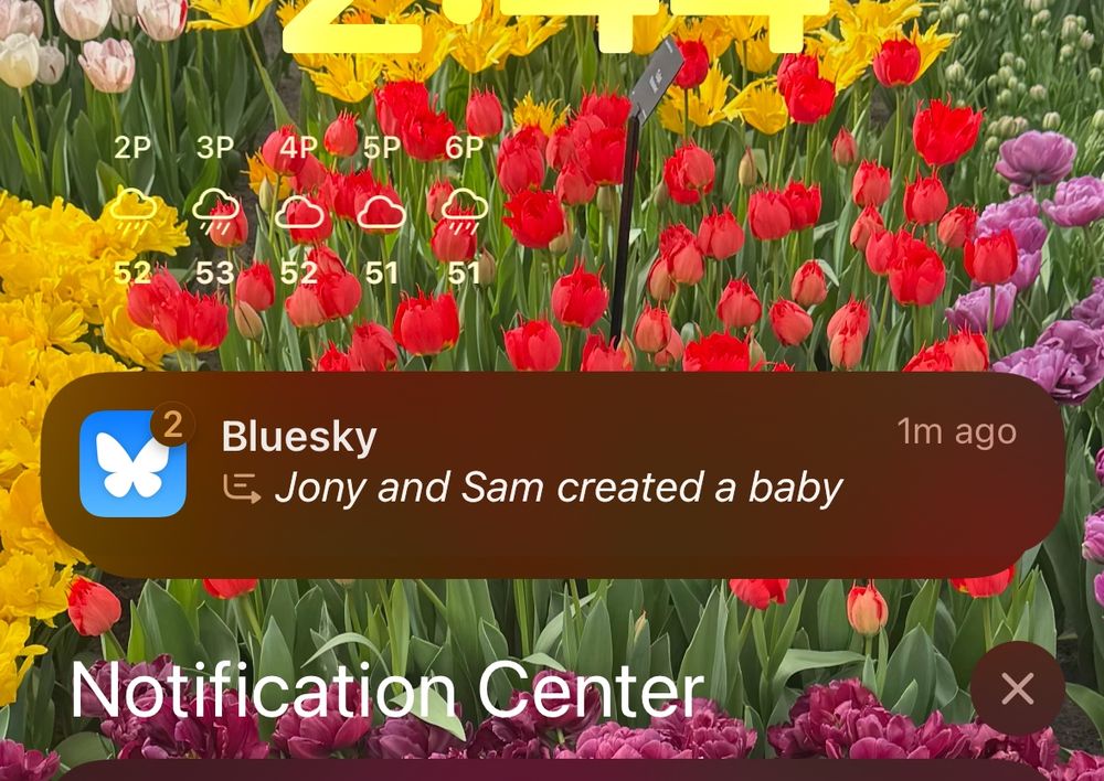 a bluesky notification summary by apple intelligence that says jony and sam created a baby