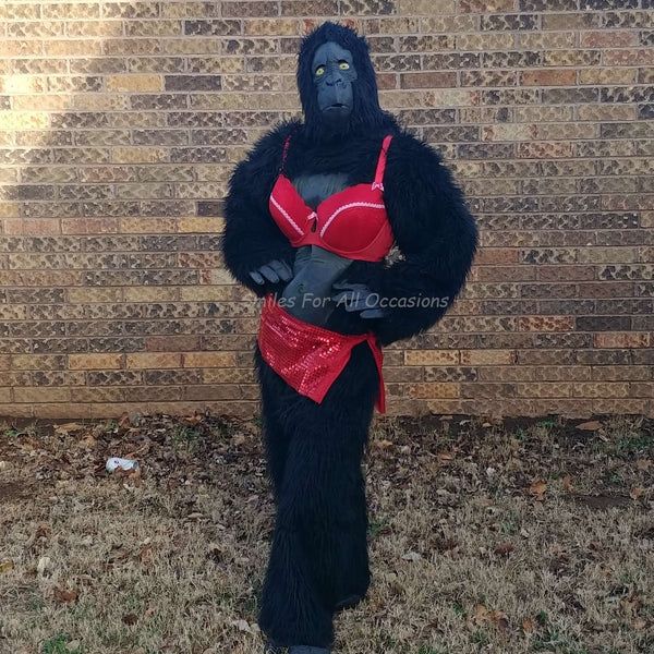 A picture of a person in a bad gorilla costume standing in feint of a brick wall. The gorilla suit is enhanced by the addition of a red bra and underwear.