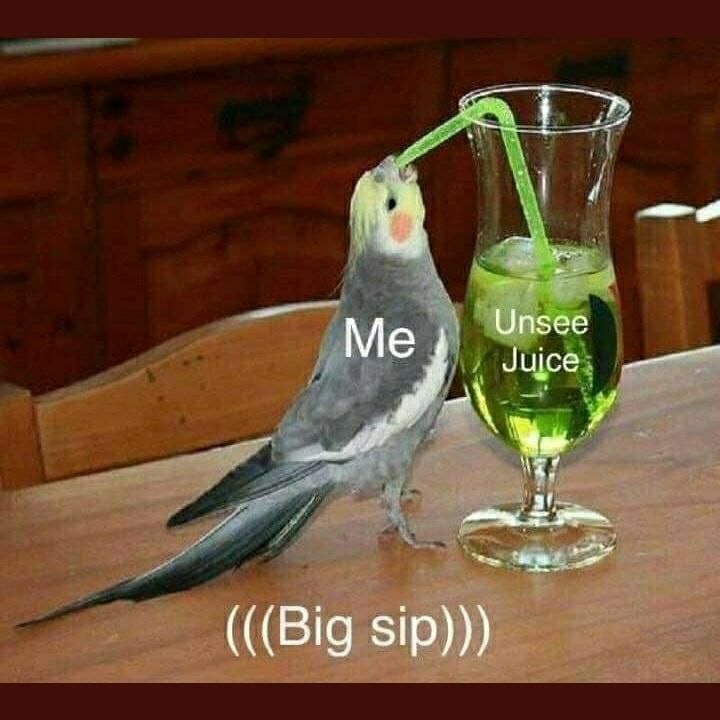 A cockatiel taking a sip from a straw stuck in a glass marked Unsee Juice, with a caption that says BIG SIP