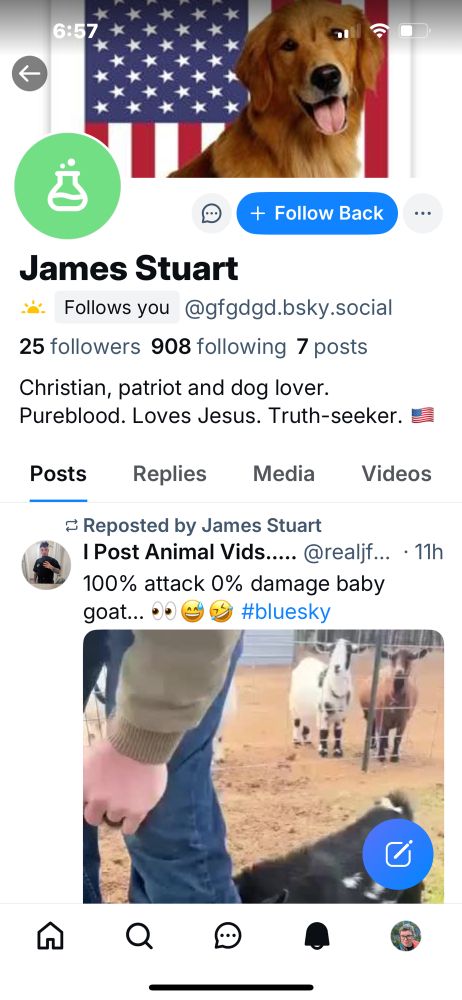 Screenshot of a very christian right wing person’s account
