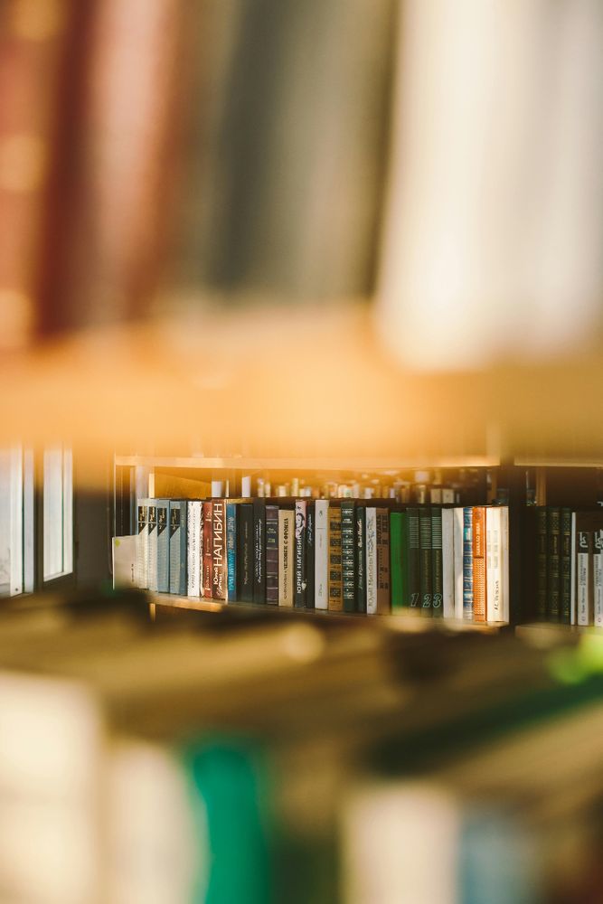 Foto De Enfoque Selectivo De Libros En Estanterías