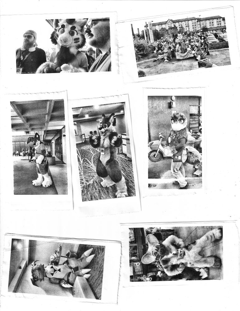 various black and white images from the local furry convention printed on receipt paper. People in fursuits posing.