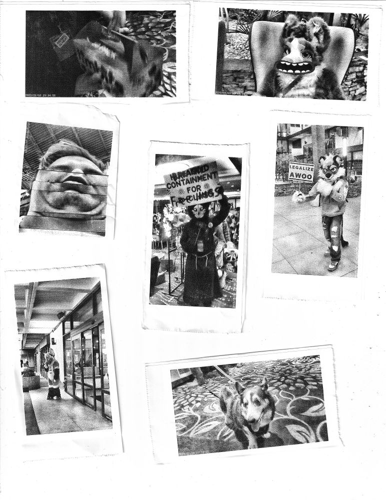 various black and white images from the local furry convention. People in fursuits posing, a cute puppy, and a distorted face i thought looked really funny.