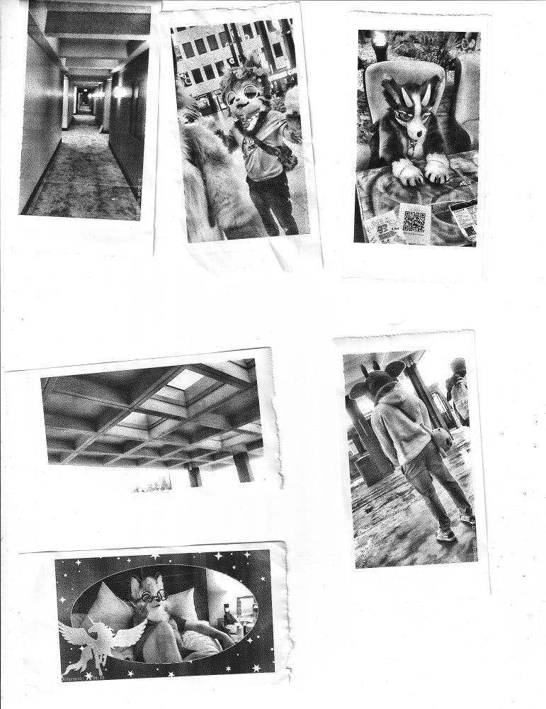 various black and white images from the local furry convention. People in fursuits posing, and images of the hotel itself.