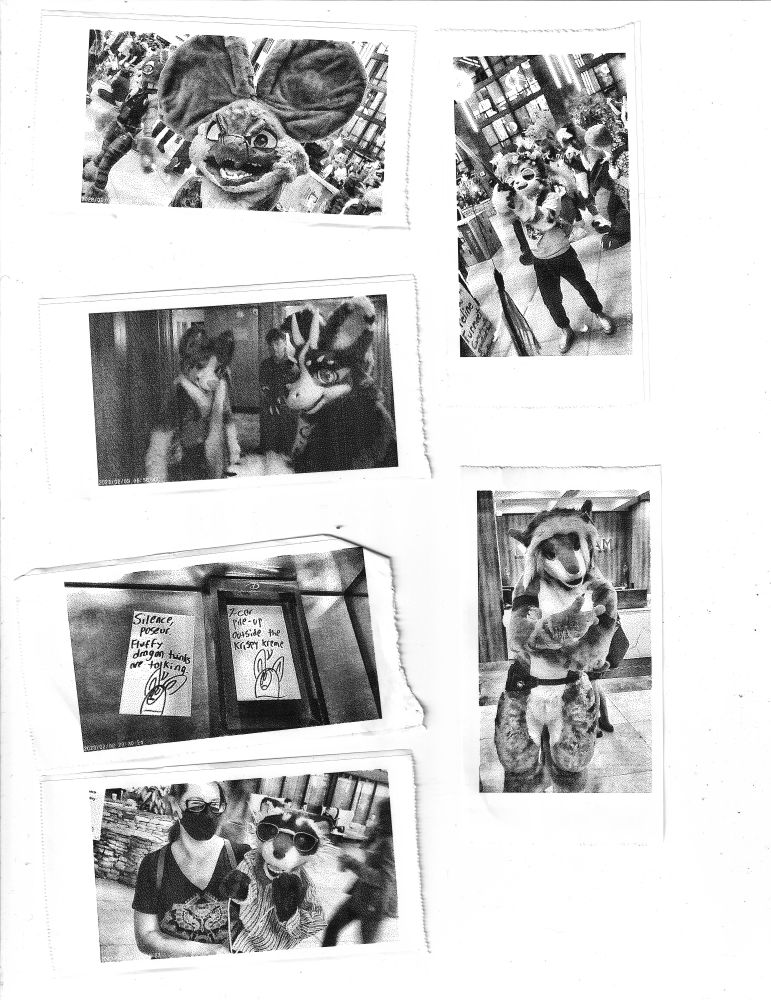 various black and white images from the local furry convention. People in fursuits posing, a person holding a raccoon puppet, and drawings.