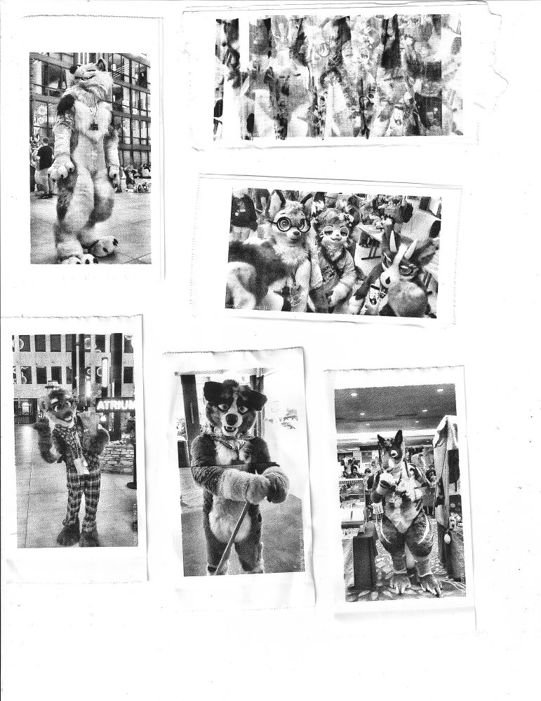 various black and white images from the local furry convention. People in fursuits posing, and images of crowds mostly.