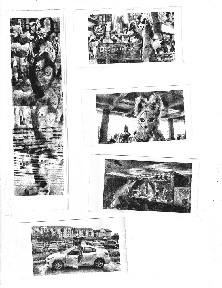 various black and white images from the local furry convention. People in fursuits posing, a distorted long image of a fursuiter made by intenionally jamming the printer and printing the same image multiple times, and a band playing on stage (Werewing)