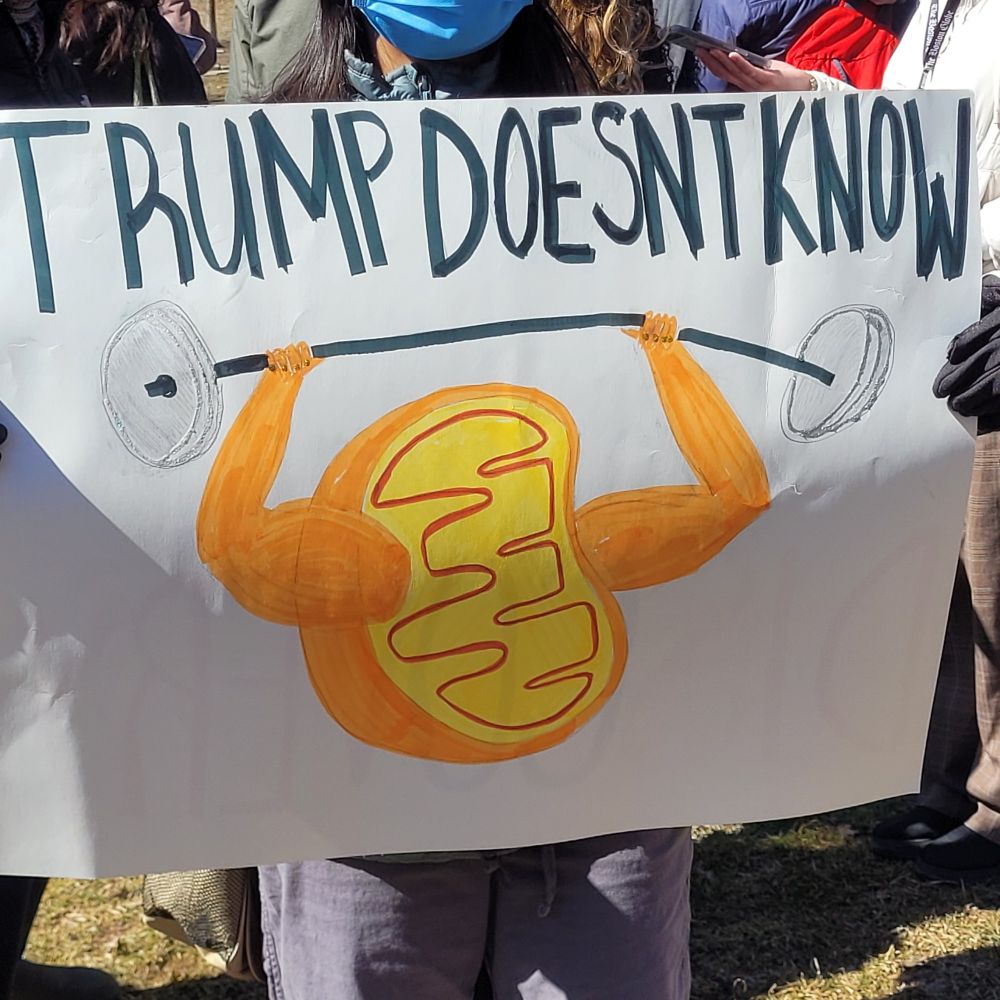 Sign: "Trump doesn't know," with picture of mitochondria, the powerhouse of the cell