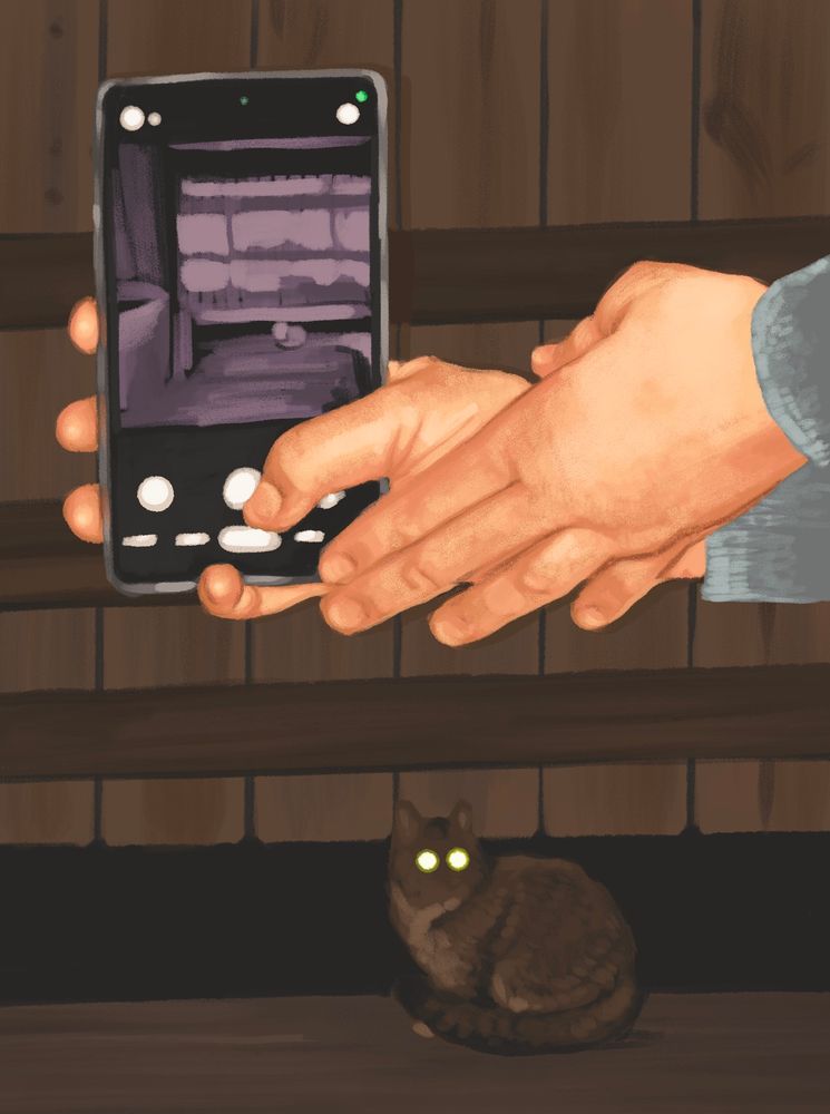 A digital drawing of a person taking a photo of a cat at night. You can only see the person's hands and their phone, and they take up the top  half of the drawing. The cat is on the bottom third of the drawing and has glowing yellow eyes.