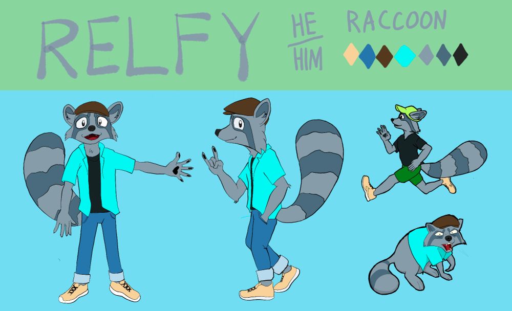 Raccoon reference sheet