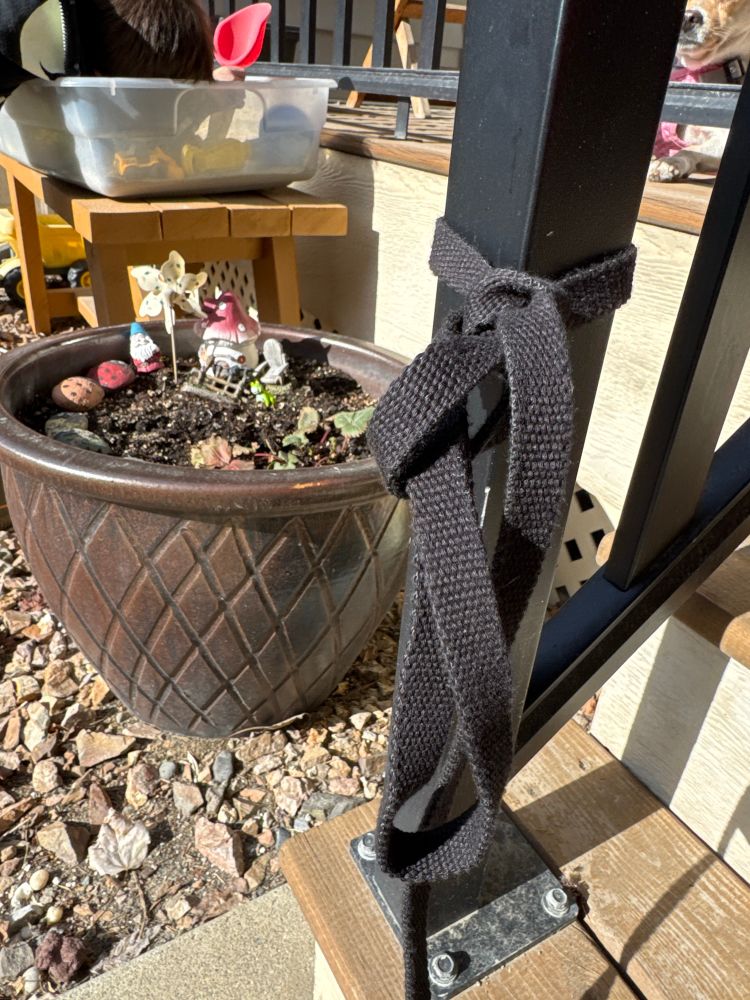 Photo of a black leash tied to a black deck stair railing in the sun.