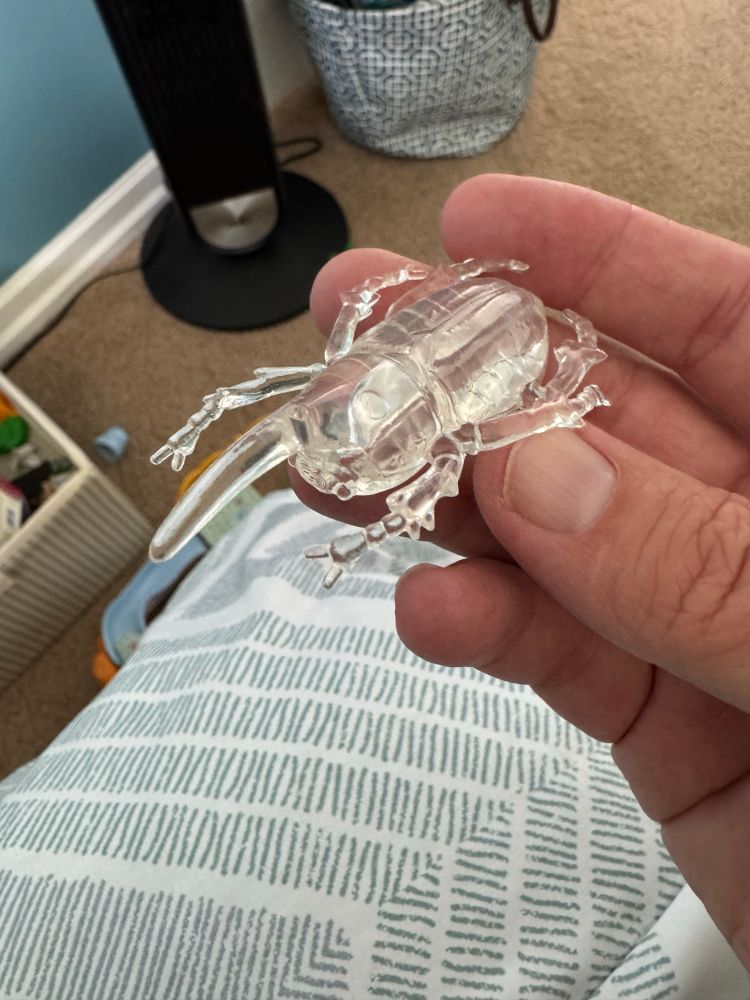 Clear plastic toy beetle with a single horn