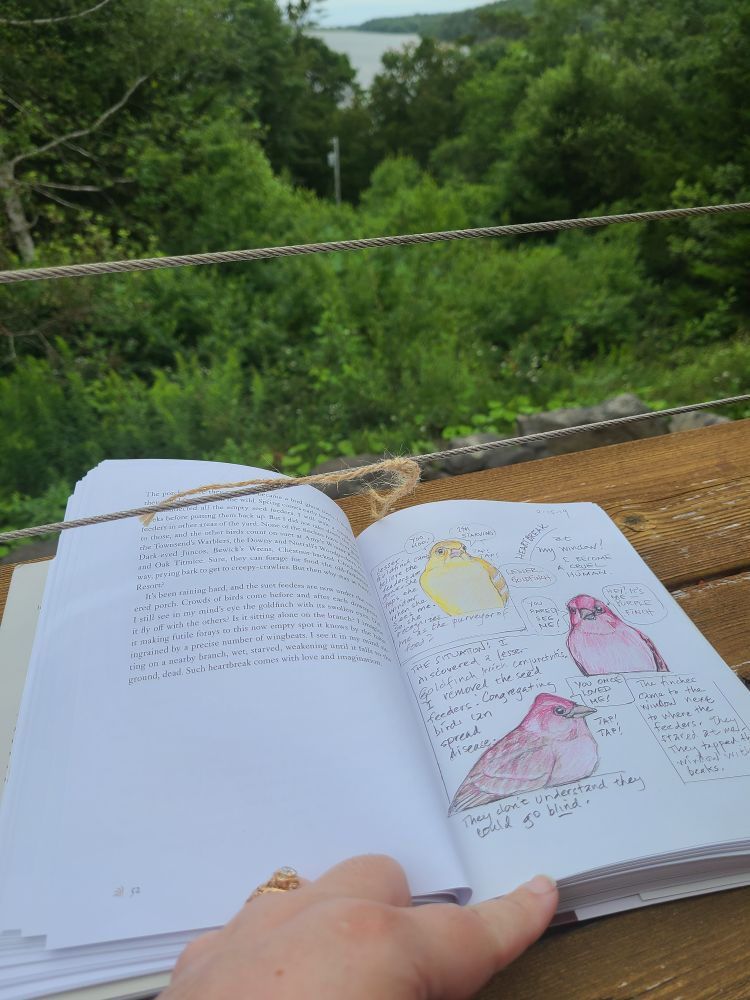 Reading Amy Tan's Backyard Bird Chronicles on the deck