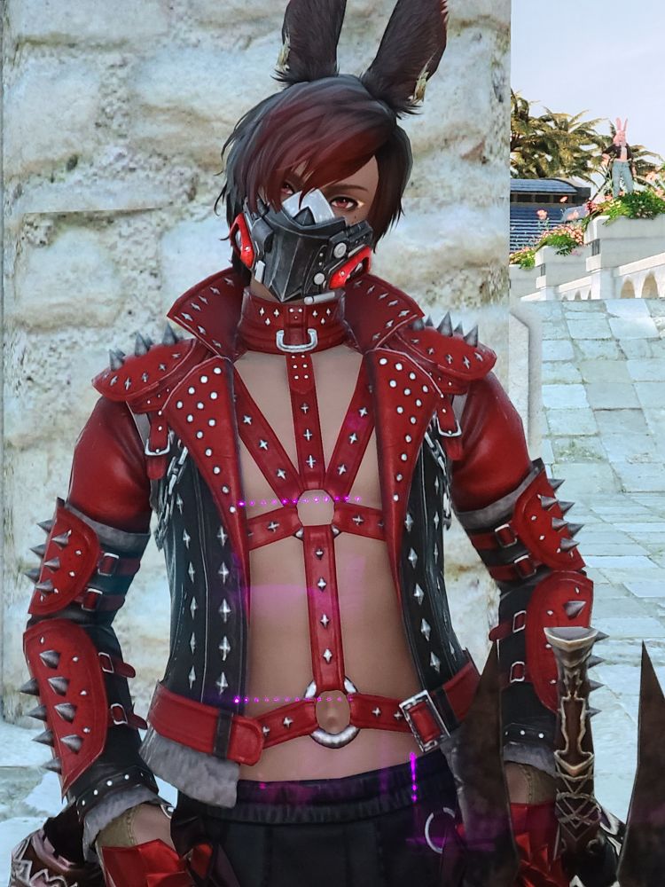 A male Viera from FFXIV