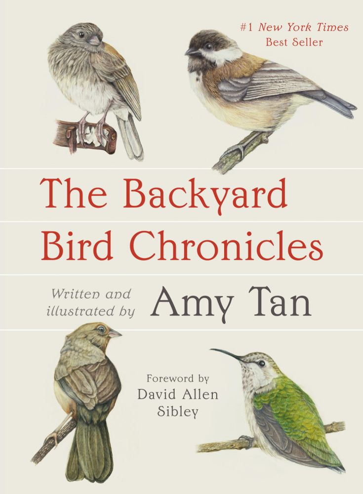 The cover of The Backyard Bird Chronicles by Amy Tan